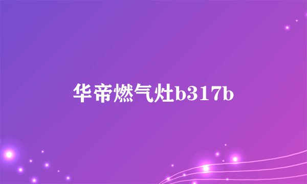 华帝燃气灶b317b