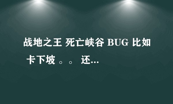 战地之王 死亡峡谷 BUG 比如 卡下坡 。。 还有回合战 卡无限子弹 写的详细些 我比较笨 请高手指教 谢啦！