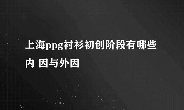 上海ppg衬衫初创阶段有哪些内 因与外因