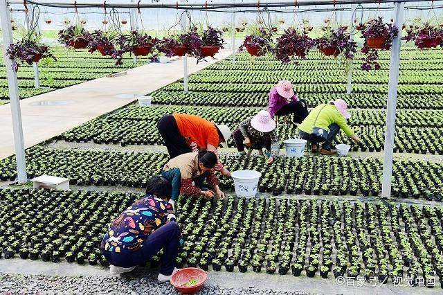 在那些网站上可以卖农产品?