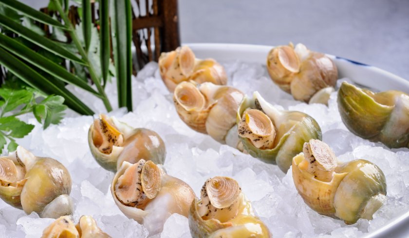 “青螺”指的是什么