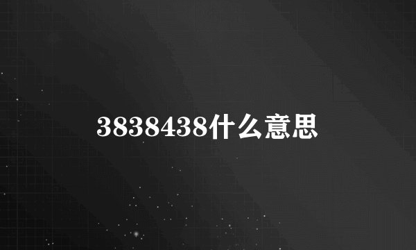 3838438什么意思