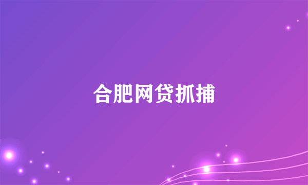 合肥网贷抓捕