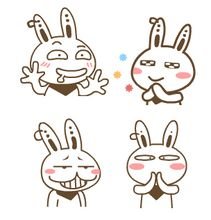 请问这个兔子叫什么名字，哪里有它的图片集合？谢谢