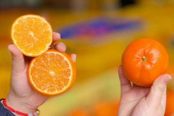 “泡药”沃柑安全间隔期被忽视，为何水果被泡过药后才上市？