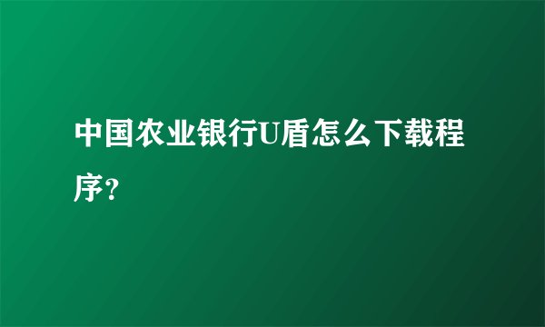 中国农业银行U盾怎么下载程序？