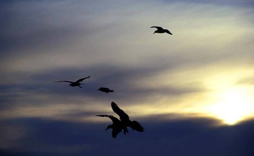 世界上最遥远的距离的全文