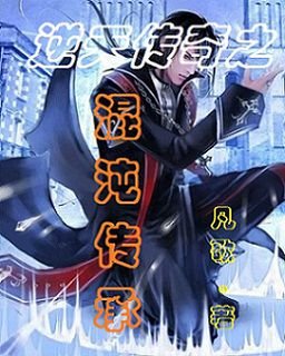 传承混沌的作品目录