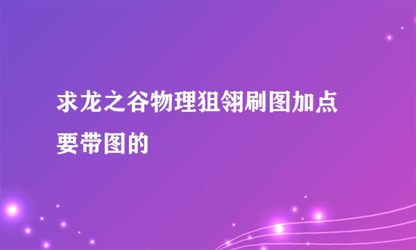 求龙之谷物理狙翎刷图加点 要带图的