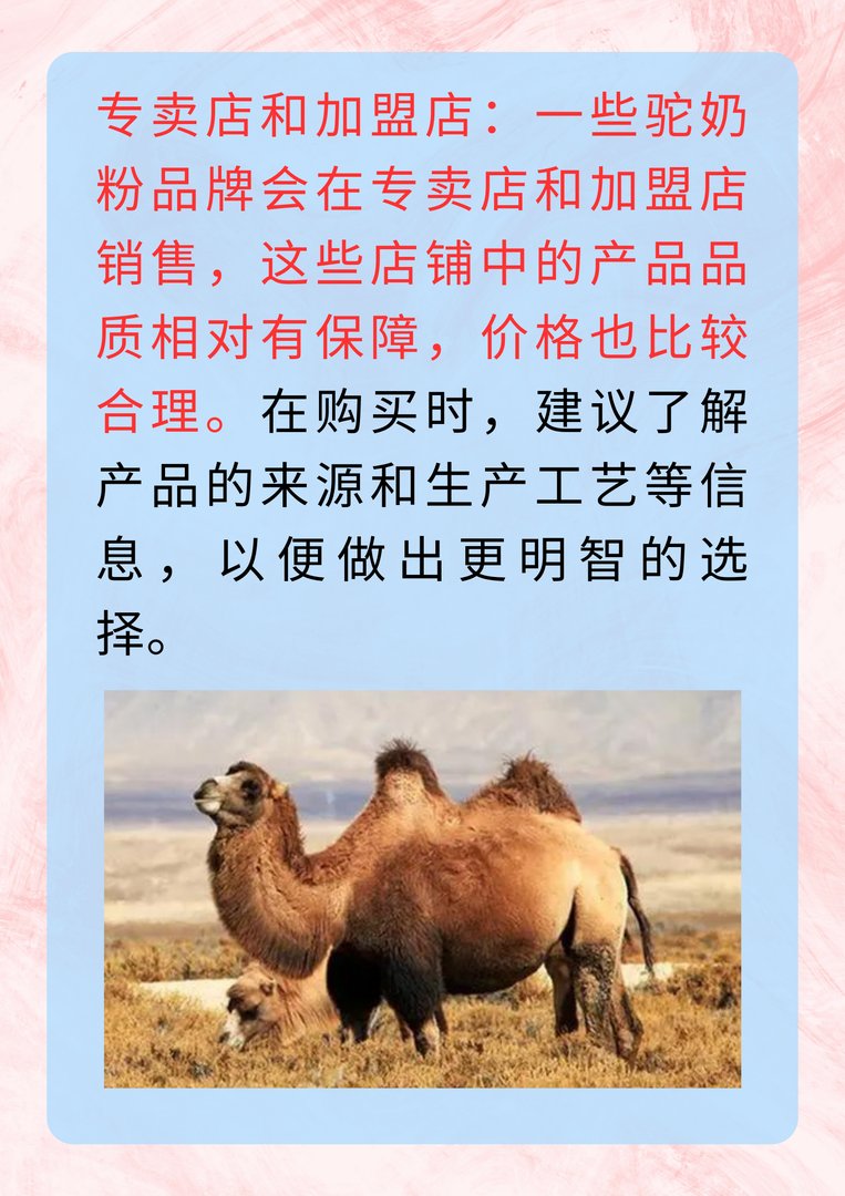哪里买驼奶粉正宗