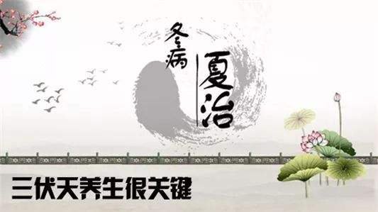 震惊！为何2020年三伏天会有40天？