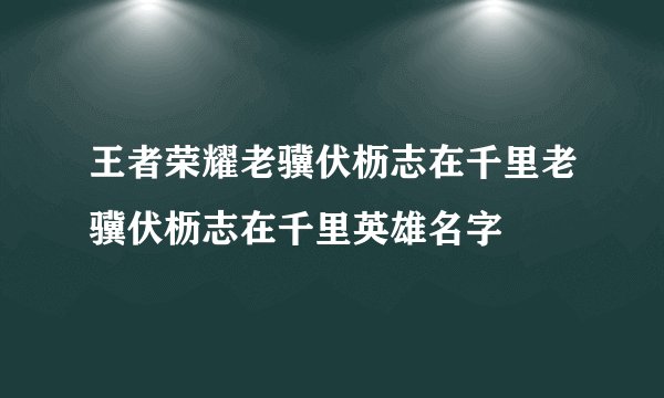 王者荣耀老骥伏枥志在千里老骥伏枥志在千里英雄名字