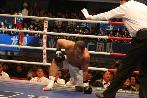 中日散打对抗赛的介绍