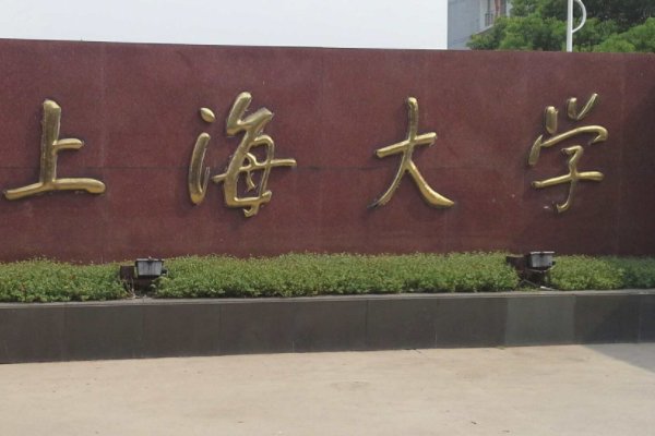 上海大学分布