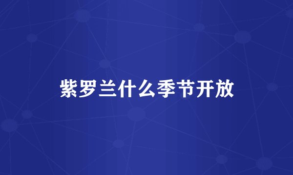 紫罗兰什么季节开放