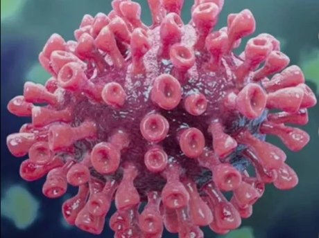 北京个别感染者自行服药未报告，这种行为合法吗？