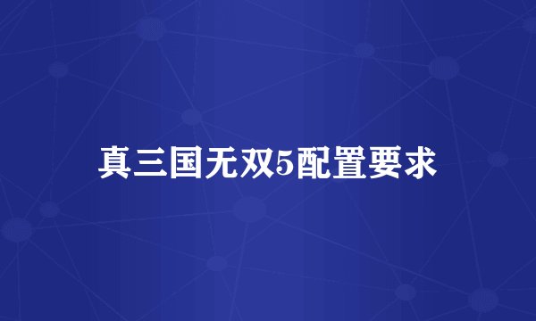 真三国无双5配置要求