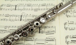 榕树下歌词 榕树下歌词欣赏