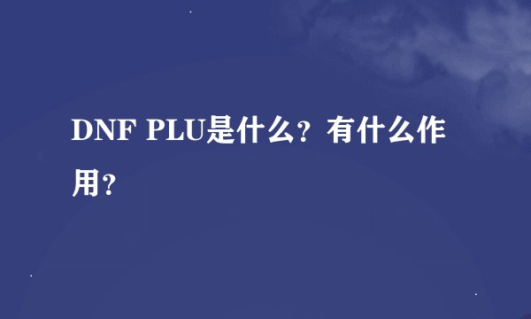 DNF PLU是什么？有什么作用？