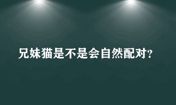 兄妹猫是不是会自然配对？