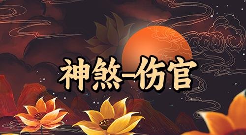 流年伤官什么意思