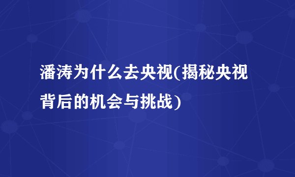 潘涛为什么去央视(揭秘央视背后的机会与挑战)