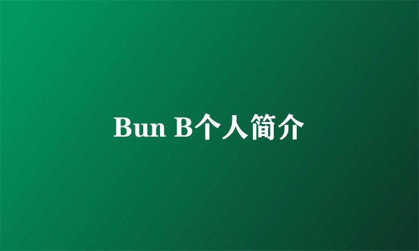 Bun B个人简介