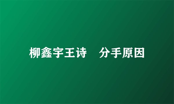 柳鑫宇王诗玥分手原因