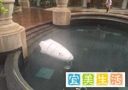 美国保安机器人自杀事件，工作压力太大所致？
