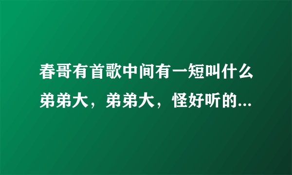 春哥有首歌中间有一短叫什么弟弟大，弟弟大，怪好听的，求歌名~还有什么7 11的~