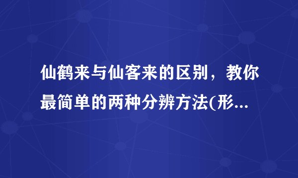 仙鹤来与仙客来的区别，教你最简单的两种分辨方法(形态/价值)