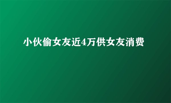 小伙偷女友近4万供女友消费