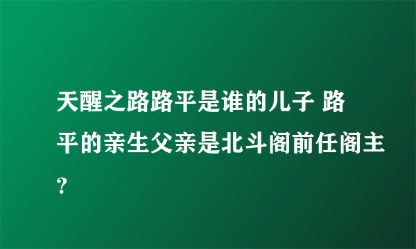 天醒之路路平是谁的儿子 路平的亲生父亲是北斗阁前任阁主？