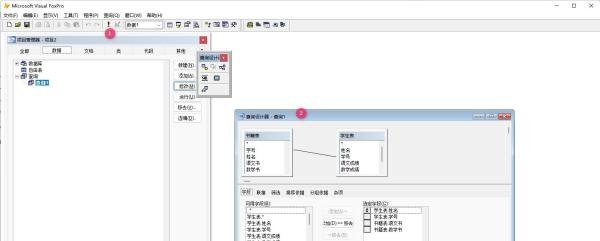 VF9.0 运行查询的四种方法