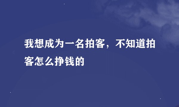 我想成为一名拍客，不知道拍客怎么挣钱的
