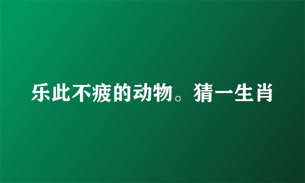 乐此不疲的动物。猜一生肖