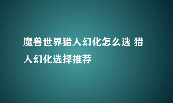 魔兽世界猎人幻化怎么选 猎人幻化选择推荐