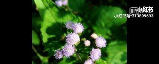 相由心生，乐由心生，福由心生