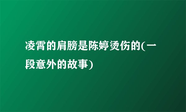 凌霄的肩膀是陈婷烫伤的(一段意外的故事)