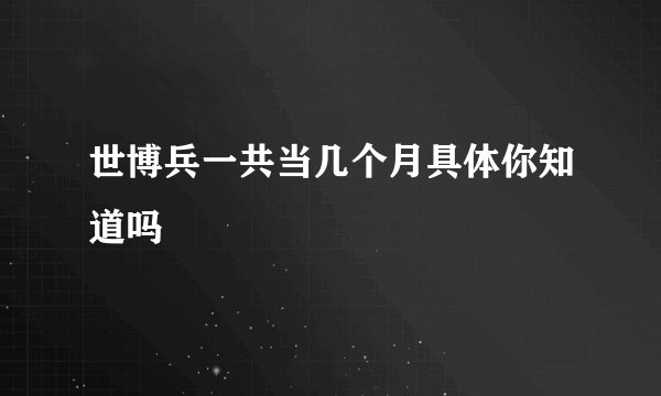 世博兵一共当几个月具体你知道吗