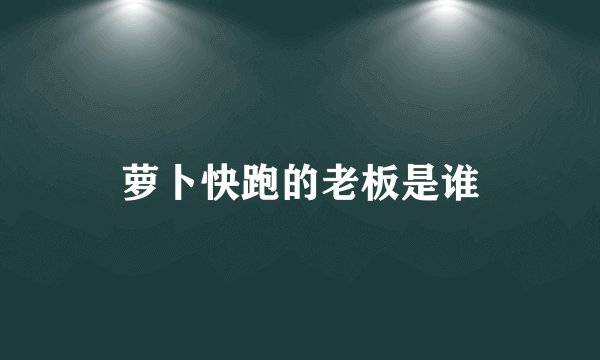 萝卜快跑的老板是谁