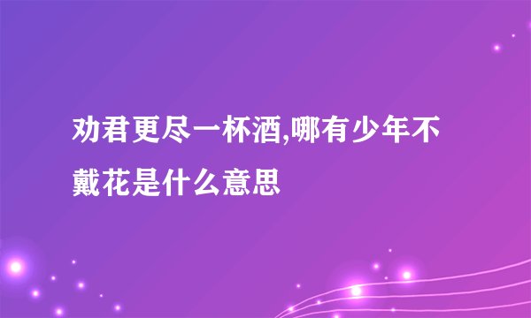 劝君更尽一杯酒,哪有少年不戴花是什么意思