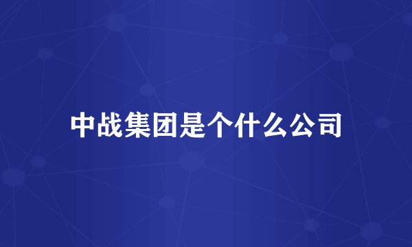 中战集团是个什么公司