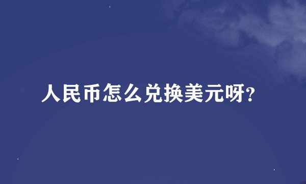 人民币怎么兑换美元呀？
