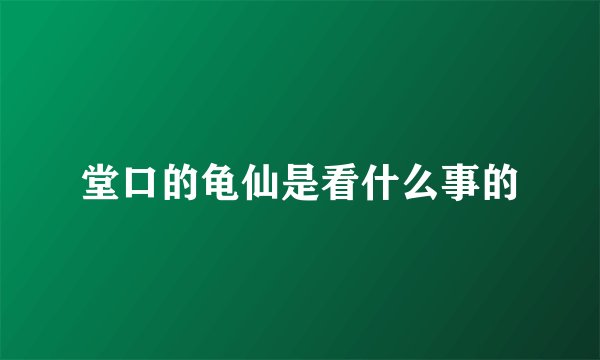 堂口的龟仙是看什么事的