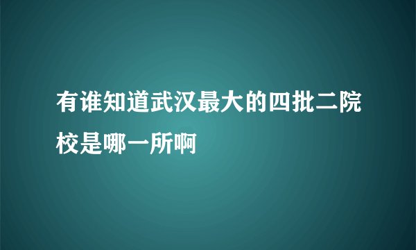 有谁知道武汉最大的四批二院校是哪一所啊