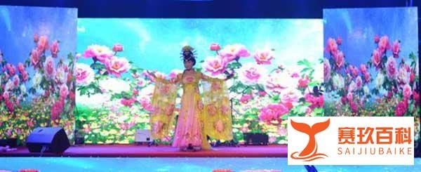 特色演艺圈节目:反串艺人演出、反串演员表演