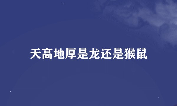 天高地厚是龙还是猴鼠