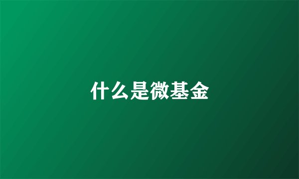什么是微基金