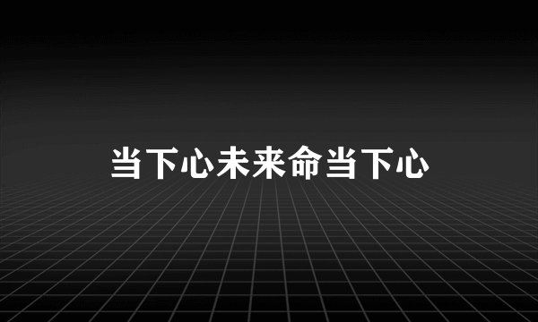 当下心未来命当下心